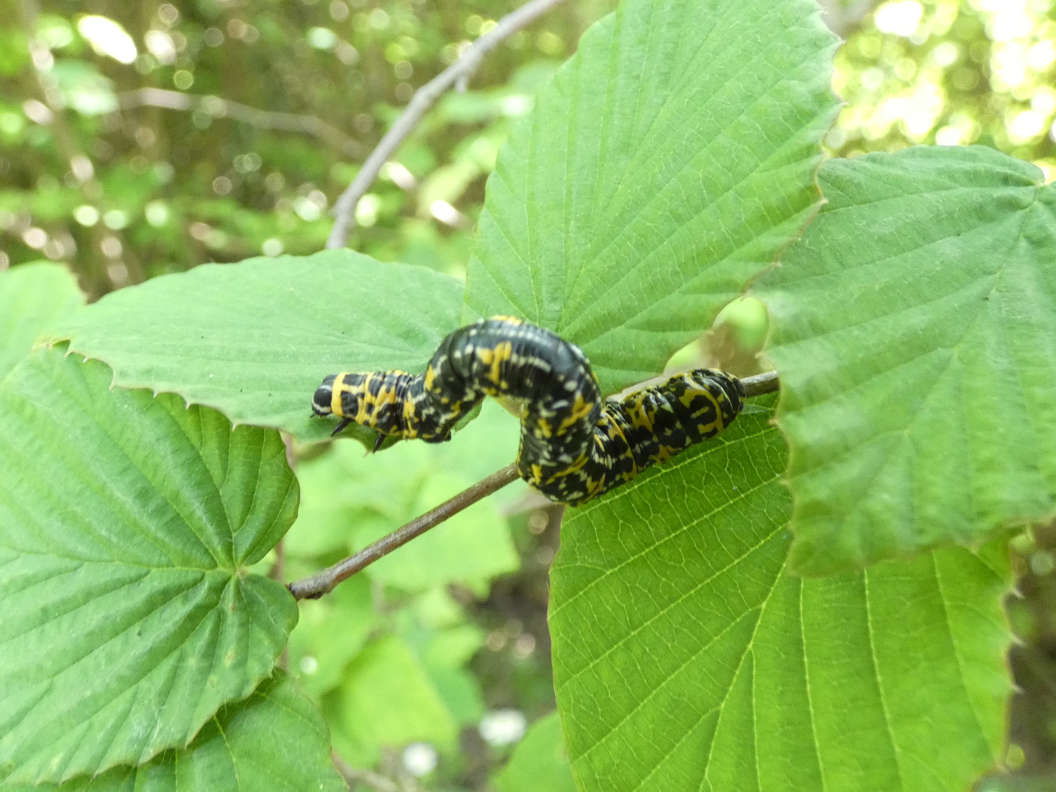 photo_1